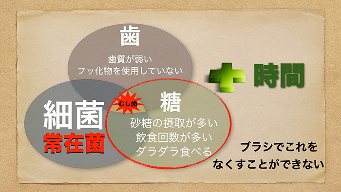 新人DHでも理解できるよう、基本から丁寧に解説します