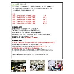 セミナー支援金・補助金制度「参考マニュアル」（DH向け）