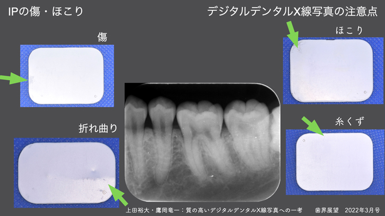 位置付けは、斎田先生の実演を見ながら学べます
