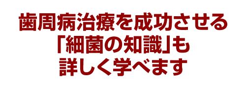 歯周病治療を成功させる「細菌の知識」も詳しく学べます