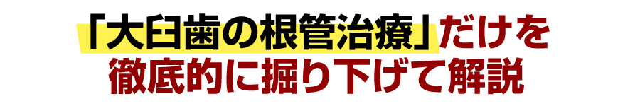 「大臼歯の根管治療」だけを徹底的に掘り下げて解説