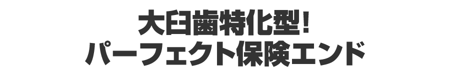 大臼歯特化型！パーフェクト保険エンド