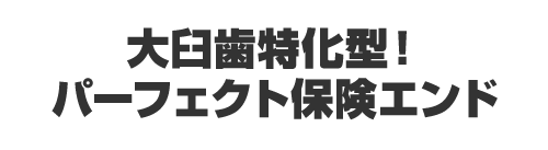 大臼歯特化型！パーフェクト保険エンド