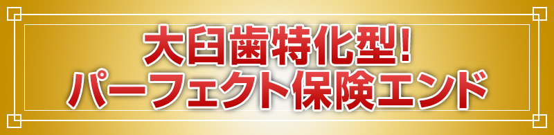 大臼歯特化型！パーフェクト保険エンド