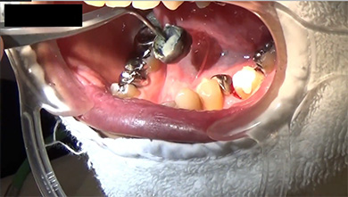 多数のイラストと動画を用いてわかりやすく学べます